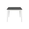 TREXM Classic and Traditional Style 6 - Piece Dining Set, Includes Dining Table, 4 Upholstered Chairs & Bench (White+Gray)